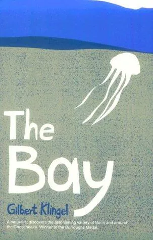 The Bay