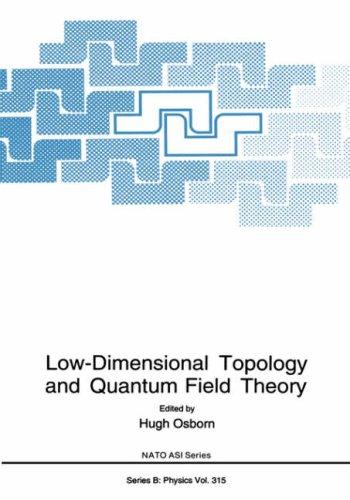 Low-Dimensional Topology and Quantum Field Theory (1993)