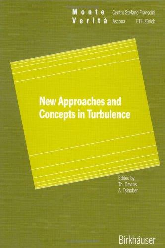 New Approaches and Concepts in Turbulence (1993)