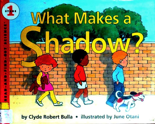 What Makes a Shadow?