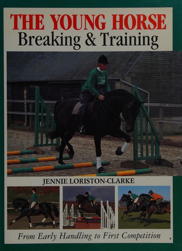 Young Horse Breaking & Training
