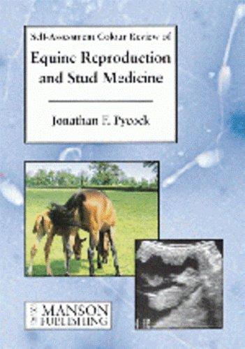 Equine Reproduction & Stud Medicine