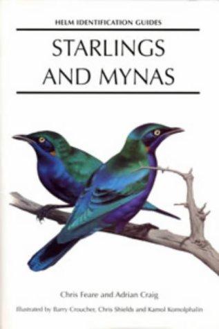 Starlings and Mynas