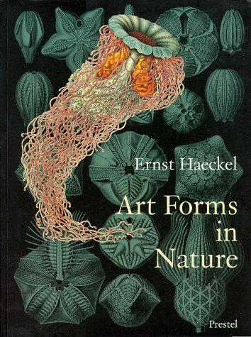 Art Forms in Nature