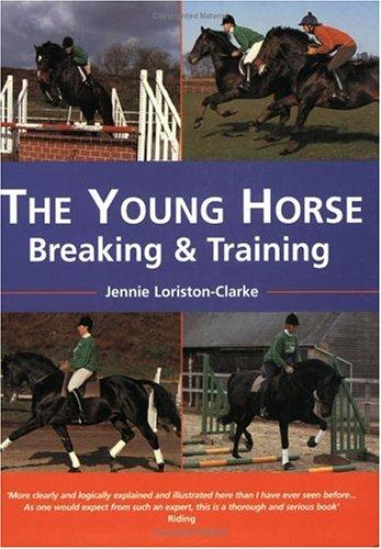 The Young Horse
