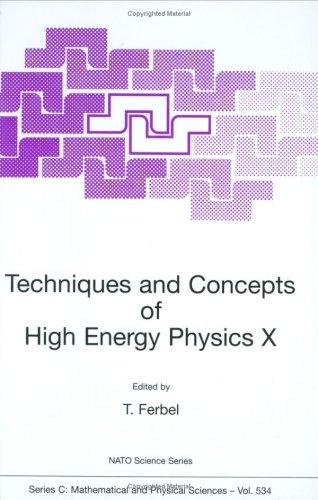 Techniques and Concepts of High Energy Physics X (1999)