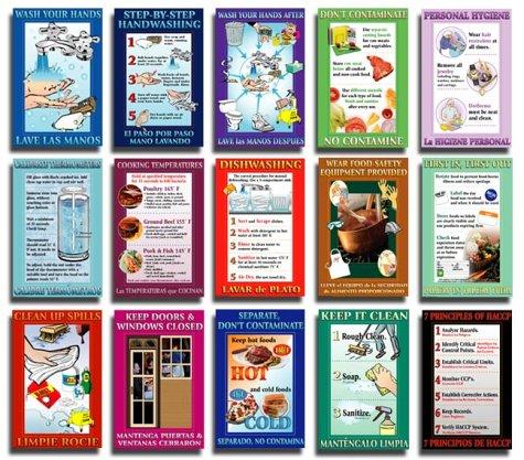 Stamped with a National Character – Nineteenth Century American Color Plate Books