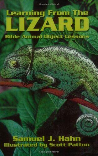 Learning from the Lizard