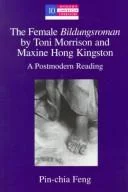 The Female Bildungsroman by Toni Morrison and Maxine Hong Kingston : A Postmodern Reading : 10