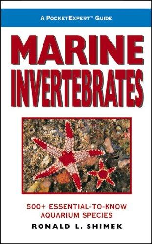 Marine Invertebrates
