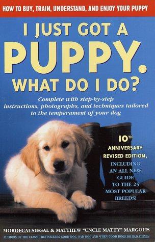 I Just Got A Puppy, What Do I Do