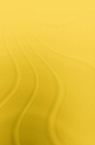 John F. Kennedy and the Politics of Arms Sales to Israel