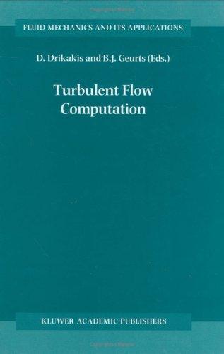 Turbulent Flow Computation (2002)