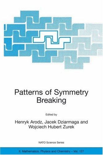 Patterns of Symmetry Breaking (2003)