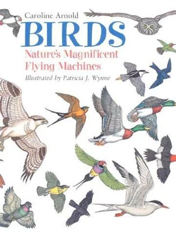 Birds : Nature's Magnificent Flying Machines