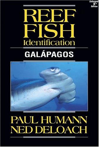 Reef Fish Identification