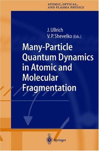 Many-Particle Quantum Dynamics in Atomic and Molecular Fragmentation (2003)