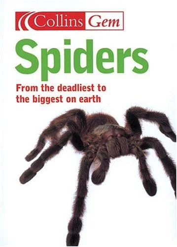 Spiders