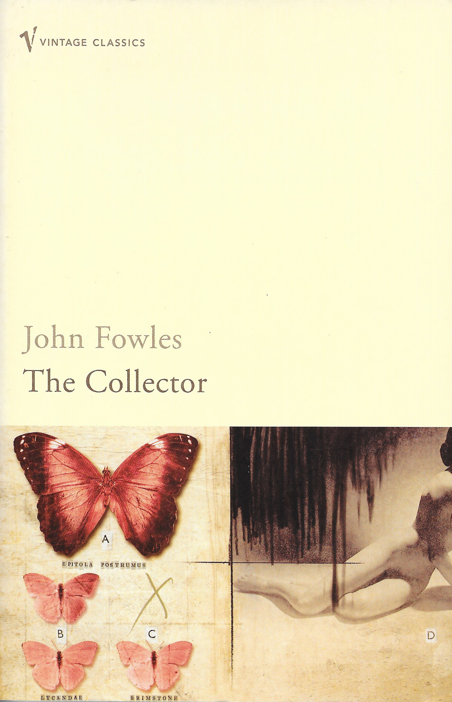 The Collector