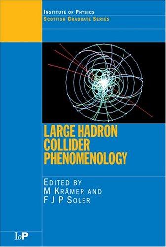 Large Hadron Collider Phenomenology