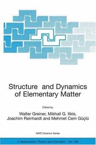 Structure and Dynamics of Elementary Matter (2004)