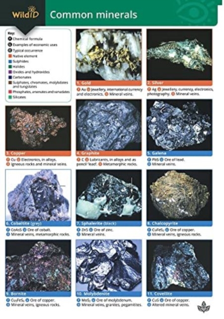 Guide to Common Minerals