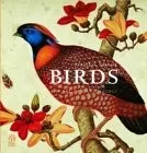 Birds: Art of Ornithology