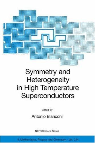 Symmetry and Heterogeneity in High Temperature Superconductors (2006)