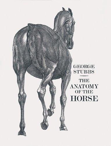Anatomy of the Horse