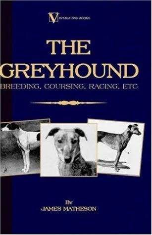 The Greyhound