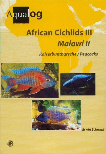 Aqualog African Cichlids III, Malawi II - Peacocks