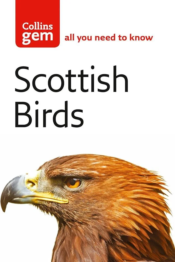 Scottish Birds