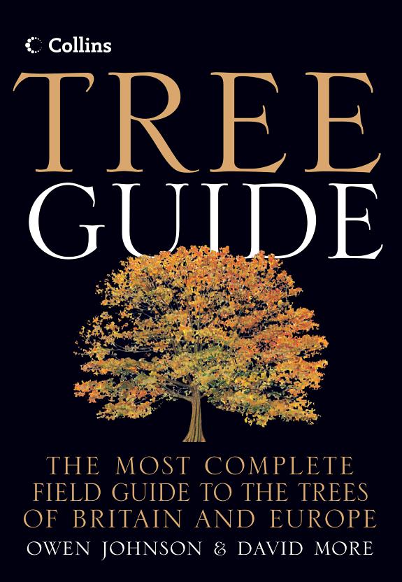 Collins Tree Guide