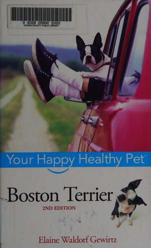 Boston Terrier