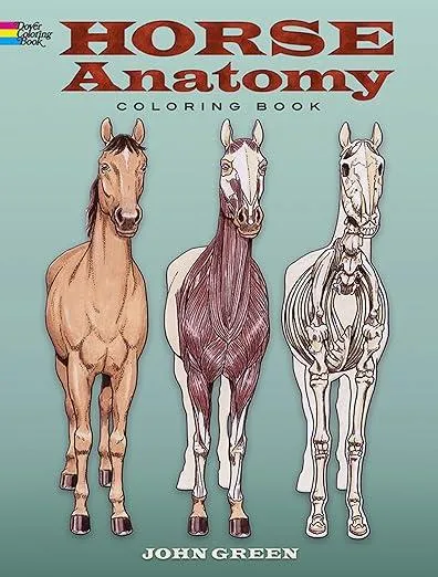 Horse Anatomy Coloring Book