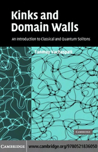 Kinks and Domain Walls