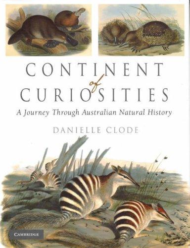 Continent of Curiosities