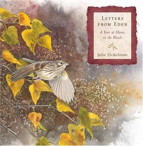 Letters From Eden : A Year at Home, in the Woods