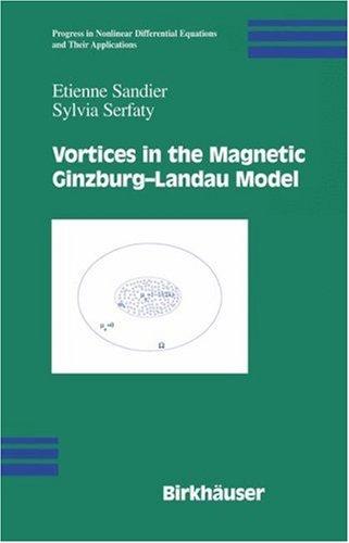 Vortices in the Magnetic Ginzburg-Landau Model (2007)
