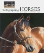 Photographing Horses