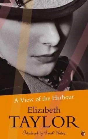 A View Of The Harbour : A Virago Modern Classic