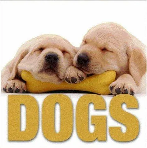 Dogs