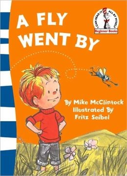 A Fly Went By