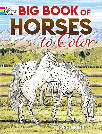 Big Book of Horses to Color