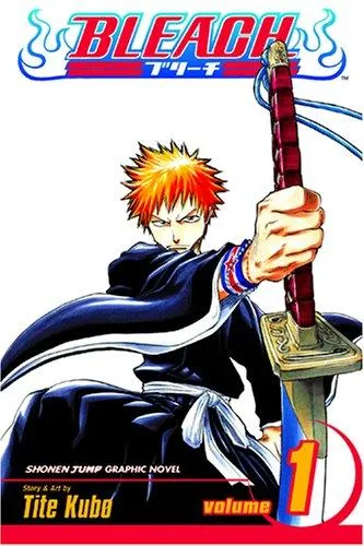 Bleach, Vol. 1 : 1