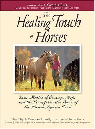 The Healing Touch of Horses
