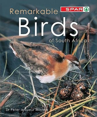 Remarkable birds of South Africa