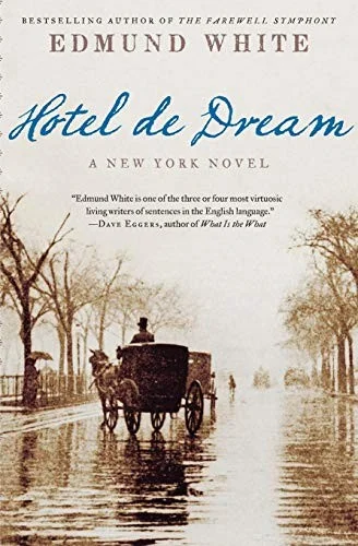 Hotel de Dream : A New York Novel