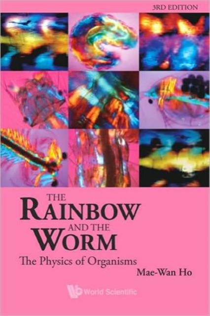 Rainbow And The Worm, The