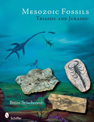 Mesozoic Fossils II